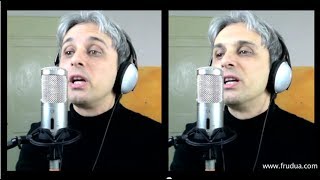 How To Sing Eight Days A Week Beatles Vocal Harmony Cover  Galeazzo Frudua [upl. by Adria481]