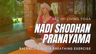 Nadhi Shodhana Pranayama  Art of Living Yoga  Sri Sri Yoga [upl. by Zere]