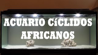 Como montar un acuario para CÍCLIDOS AFRICANOS [upl. by Demeyer]