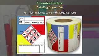 Chemical Safety [upl. by Arline]