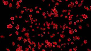 Rose Flowers Falling Animation [upl. by Metabel612]