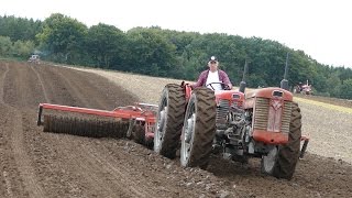 Massey Ferguson 65 Tandem Tractor  American Ferguson Days  Tjele Gods [upl. by Olecram540]