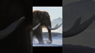 Woolly mammoth vs ankylosaurus magniventris remake dinosaur paleontology woollymammoth edit [upl. by Yanehs19]