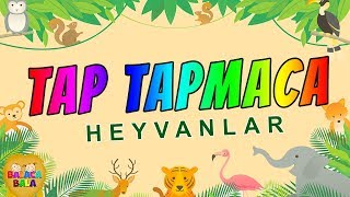 Tap Tapmaca Heyvanlara aid tapmacalar [upl. by Raf]