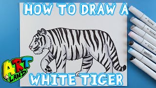 How to Draw a WHITE TIGER [upl. by Eisenhart]