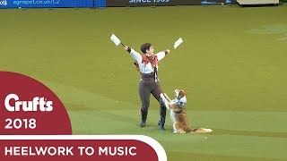 Heelwork to Music  Freestyle International Competition Part 3  Crufts 2018 [upl. by Nyltyak]