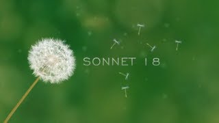 Shakespeares Sonnet 18  A Visualization [upl. by Alfy]