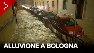 Alluvione a Bologna esonda il fiume Ravone la città inondata [upl. by Kaden844]