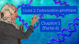 Unité 2 l’information génétiquechapitre 2partie 6 réplication de l’ADNexpérience de Taylor [upl. by Darees953]