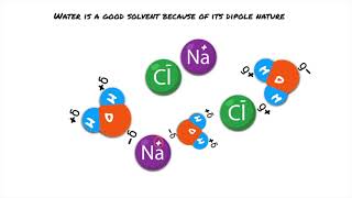 Edexcel IAL AS Biology  Lesson 1 Biological Molecules Water amp Carbohydrates [upl. by Seward]