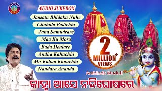 SUPER HIT BHAJAN OF ARABINDA MUDULI JAMATU BHIDAKU NUNHEALBUMKANHA AASE NANDIGHOSA RE [upl. by Eahsat819]