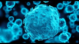 Unveiling Respiratory Pathogens Insights from the Multiplex PCR FilmArray™ Respiratory Panel [upl. by Artamas41]