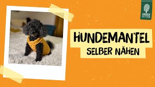 DIY  Hundemantel selber nähen  Einfache Anleitung für NähAnfänger [upl. by Norra]