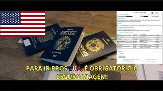 Documentos para viajar pros EUA quais os necessários [upl. by Ahsikat]