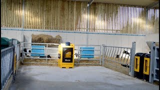 Automatic Calf Feeding has changed with the JFC Evolution [upl. by O'Donovan]