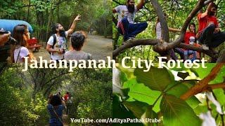 Jahanpanah City Forest  a Nature Walk [upl. by Lokcin]