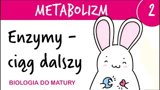 Metabolizm 2  Enzymy  ciąg dalszy  matura biologia rozszerzona przygotowanie [upl. by Arikaahs]