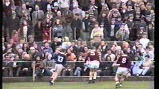 Harty Cup Final 1993 2 of 5 [upl. by Ole755]