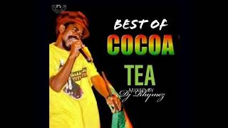 Dj Rhymez  Best of Cocoa Tea Mix 2022 [upl. by Corrine567]