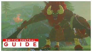 HOW TO BEAT ZORAS DOMAIN LYNEL BOSS  The Legend of Zelda Breath of the Wild BOTW Tips [upl. by Atirac]