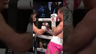 When Bivol Made Canelo Ordinary [upl. by Charmian]