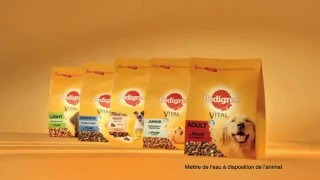 Une nutrition professionnelle pour tous les chiens  PEDIGREE® [upl. by Settle]