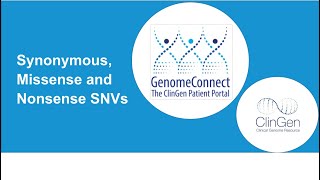 Types of Sequence Variants  Missense Nonsense and Synonymous Variants [upl. by Nuahsyar]