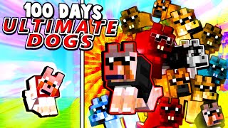 We Spent 100 Days Training A Dog Army In Minecraft [upl. by Langdon]