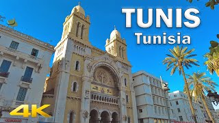 Tunis Centre Walking Tour  Tunisia【4K HD  60fps】🇹🇳 [upl. by Campy658]