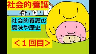 【保育士試験：社会的養護】その１世の中の社会的養護を見てみよう [upl. by Ranice727]