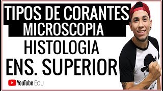 Aula Tipos de Corantes e Métodos Gerais de Coloração  Microscopia │Biolodúvidas [upl. by Eerpud]