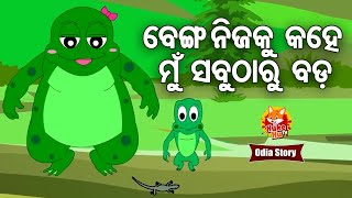 Benga Nijaku Kahe Mun Sabutharu Bada ବେଙ୍ଗ କହେ ମୁଁ ସବୁଠାରୁ ବଡ଼  Odia Moral Story  Huke Hu TV [upl. by Mccreary]