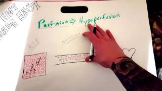 EMT Perfusion amp Hypoperfusion  EMT MADE EASY [upl. by Rebekkah]