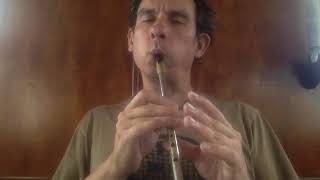 Waxies Dargle  Tin Whistle [upl. by Roby31]