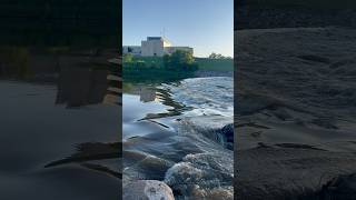 Tranquility 💦 shorts river minnesota mn water relaxing calm chill viralvideo [upl. by Rollin]