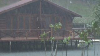 Raining heavily in the Amazon rainforest [upl. by Farra152]