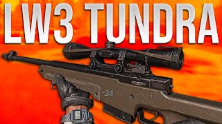 LW3 Tundra Sniper Rifle Review Black Ops Cold War In Depth [upl. by Yart]