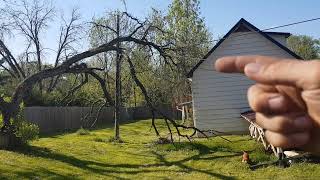 Cutting Fallen Tree Off Powerline DIY [upl. by Boutis]