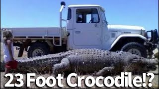 Largest Crocodiles In The World [upl. by Iot]