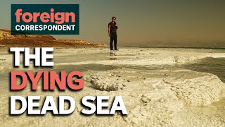 Salt Sewage and Sinkholes The Death of the Dead Sea  Foreign Correspondent [upl. by Hedaza]