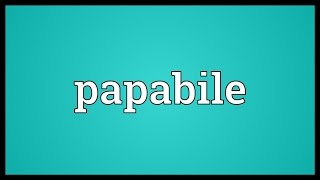 Papabile Meaning [upl. by Aida]