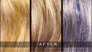 FANOLA NO YELLOW SHAMPOO on Blondes Dark Blondes and Brown Hair PURPLE SHAMPOO [upl. by Fleur]