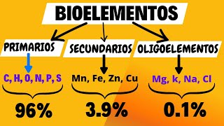 quotDescubre los Bioelementos La Base Química de Todos los Seres Vivosquot [upl. by Grata]