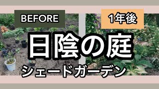 《ナチュラルガーデン》シェードガーデン日陰の庭2020年までの３年の軌跡 [upl. by Enneirdna]