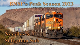 BNSFs Peak Season 2023 Needles amp Seligman Sub Pt 1 [upl. by Fernandez]