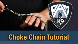 How to Put a Choke Chain on a Dog  Live Demonstration [upl. by Dadelos]