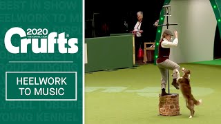 Freestyle Heelwork To Music  Part 2  Crufts 2020 [upl. by Tekcirc]