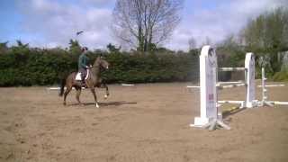 Schooling at Home with Cian OConnor [upl. by Necyrb]