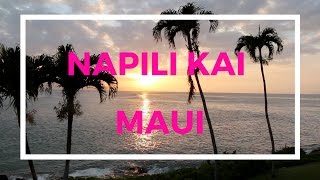 Napili Kai Beach Resort Tropical Boutique in Maui [upl. by Adnohsal594]