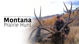 MONTANA PRAIRIE HUNT [upl. by Arline912]